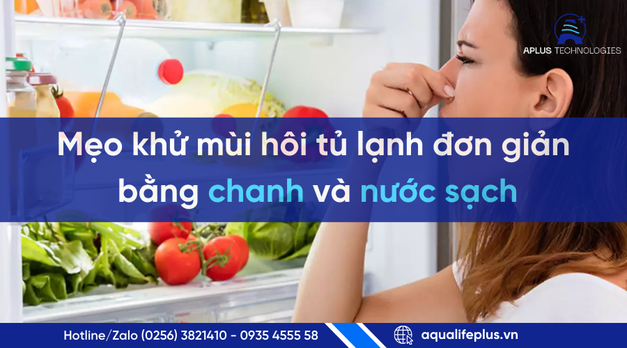 Mẹo khử mùi hôi tủ lạnh bằng chanh và nước sạch hiệu quả | Aplus Technologies